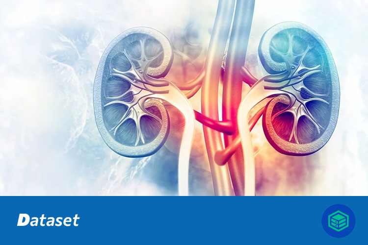 肾脏癌症图像分类数据集