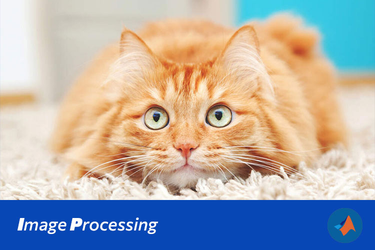 基于Gerchberg-Saxton算法的相位恢复及其在图像复原中的应用