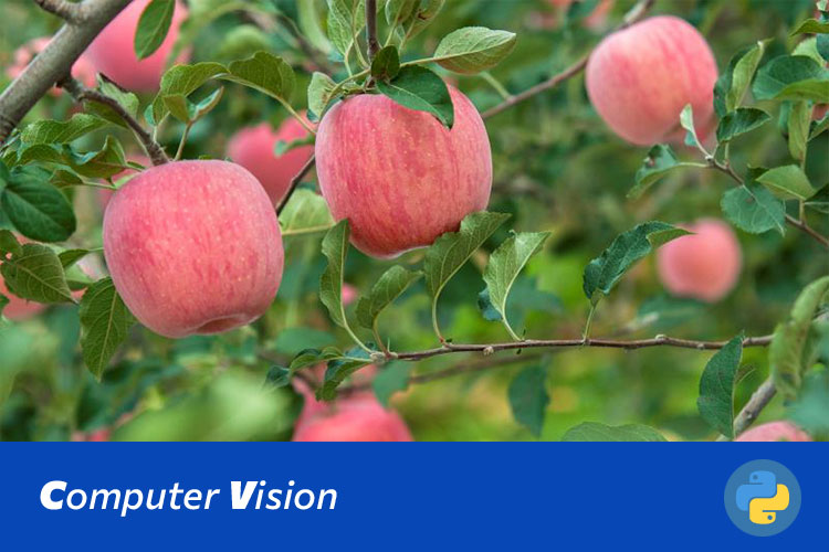 基于深度学习的河南特色农产品自动识别系统