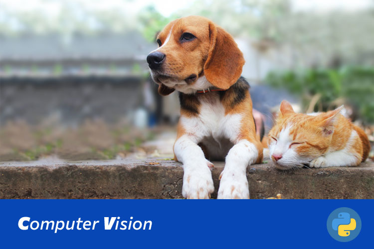 基于ResNet50和PyTorch的猫狗图像分类系统设计与实现