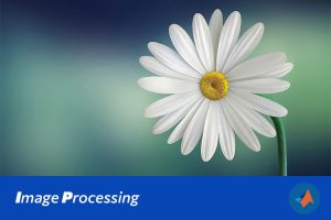 基于MATLAB数学形态学的边缘检测算法仿真实现