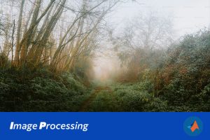 基于Matlab多算法的图像增强与客观质量评价系统