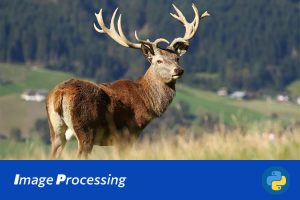 基于中心先验的全局对比度显著性检测算法