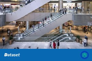 电梯扶梯危险行为检测数据集（YOLO格式）