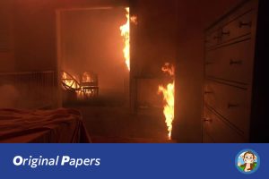 原创论文：面向家居场景的火焰烟雾图像识别系统