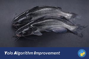 基于改进YOLOv8斑点叉尾鮰鱼损伤检测系统的研究与实现